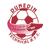 https://img.shanxihuayiyun.com/img/football/team/94cfab0be8aab0fc0466a24c4984df42.png